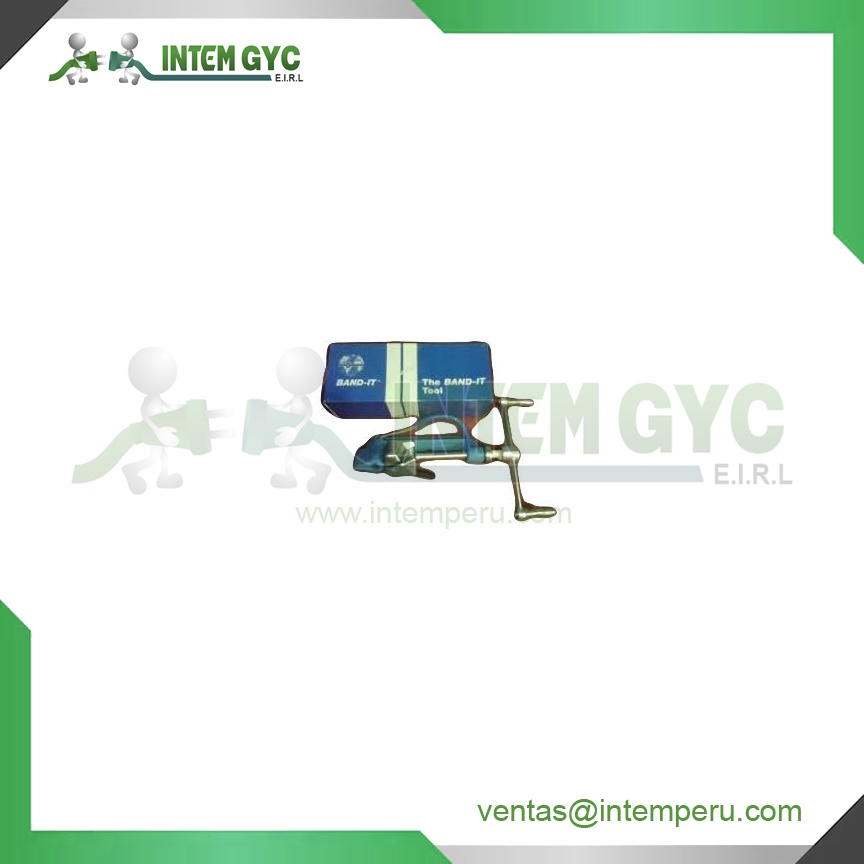 ENZUNCHADORA  BAND - IT